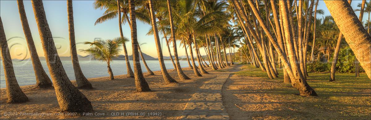 Peter Bellingham Photography Palm Cove - QLD H (PBH4 00 14942)